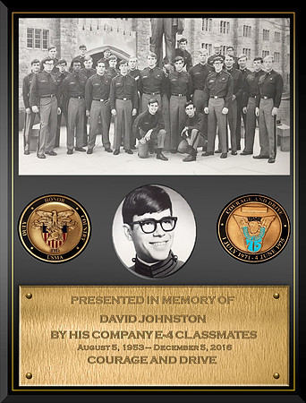 David Johnston