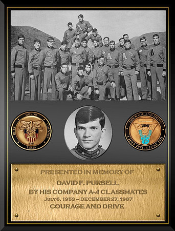 David F. Pursell