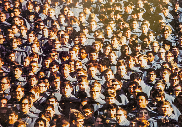 The Spectators