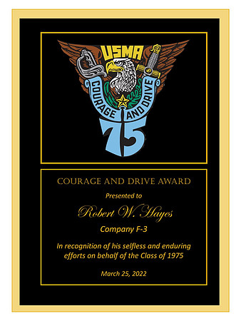 Award #13 - Hayes